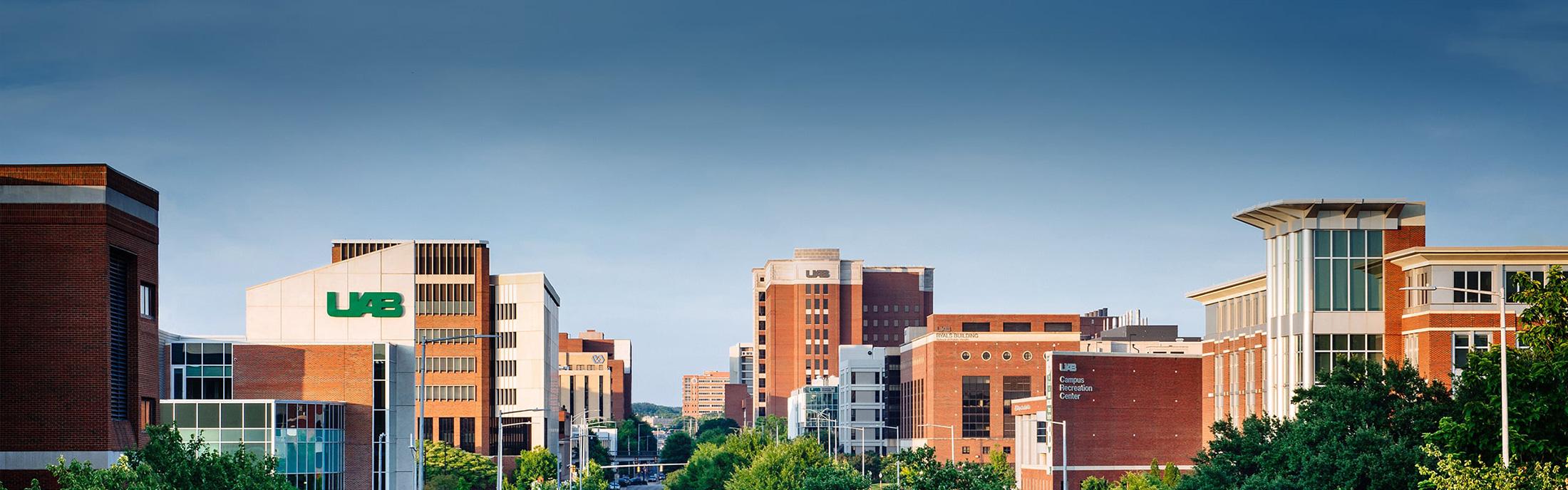 University of Alabama at Birmingham